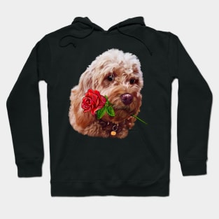 Cavapoo cavoodle with red rose - Cavapoo puppy dog  - cavalier king charles spaniel poodle, dog Valentine’s day Hoodie